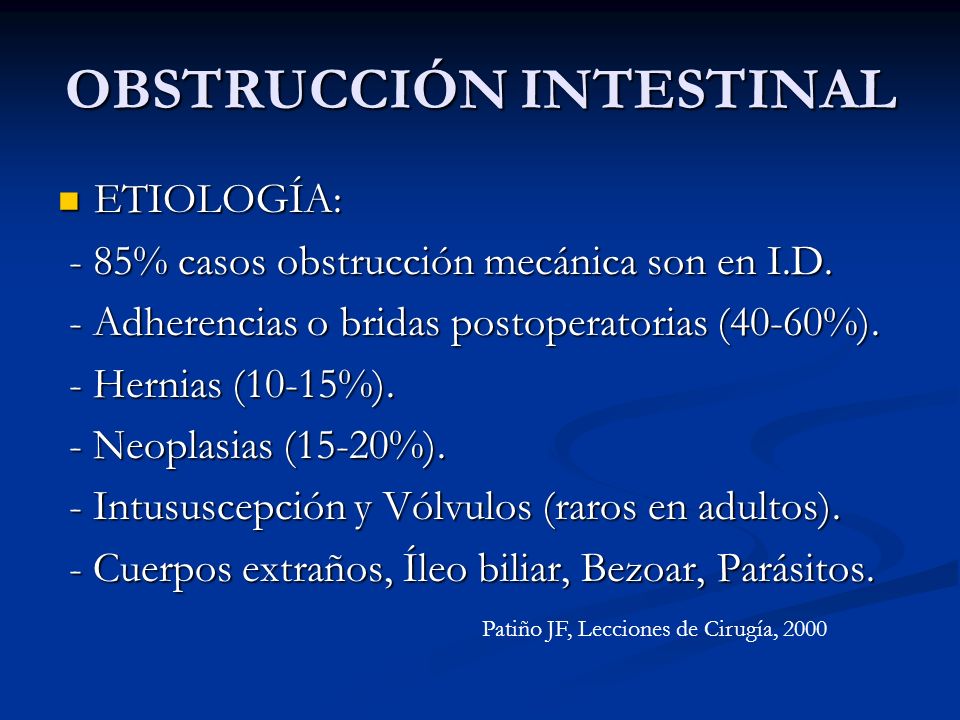 intestino bridas